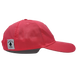 Youth Ocean Stripe 5 Twill Hat SHOP ROGUE WEAR Hats
