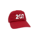 207 Embroidered Twill Cap ROGUE LIFE Co. Hat